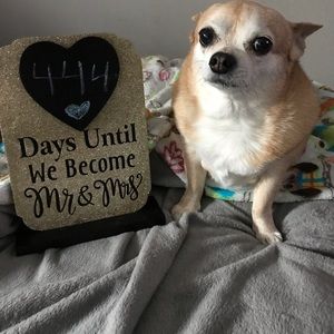 Meet your Posher, Caity